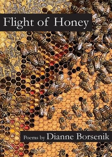 Cover image for Flight of Honey