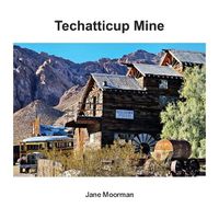 Cover image for Techatticup Mine