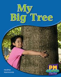 Cover image for My Big Tree