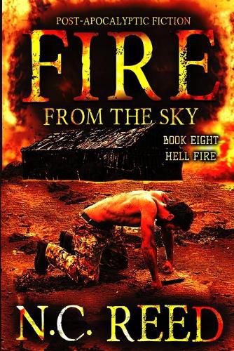 Cover image for Fire From the Sky