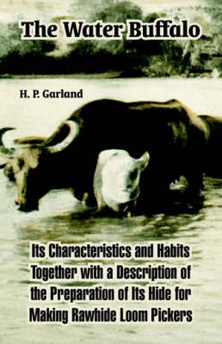 Cover image for The Water Buffalo: Its Characteristics and Habits Together with a Description of the Preparation of Its Hide for Making Rawhide Loom Pickers