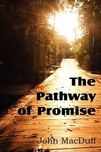 Cover image for The Pathway of Promise, Words of Comfort to the Christian Pilgrim