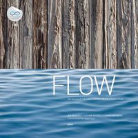 Cover image for Flow: In Pursuit of a Living Building