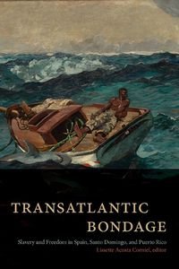 Cover image for Transatlantic Bondage