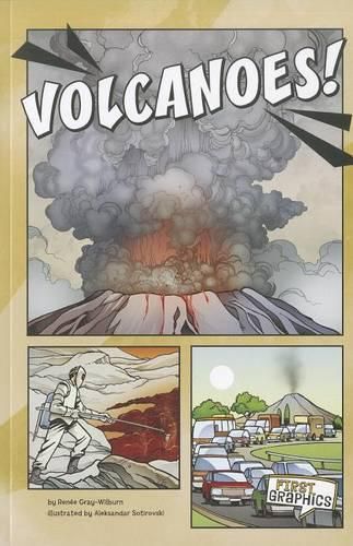 Cover image for Volcanoes (First Graphics: Wild Earth)