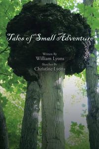Cover image for Tales of Small Adventure
