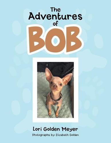 Cover image for The Adventures of Bob