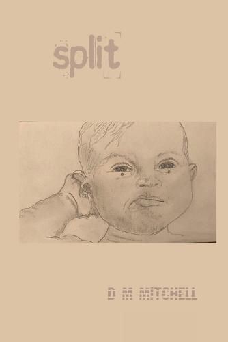 Cover image for Split !