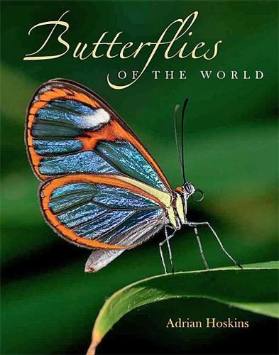 Cover image for Butterflies of the World