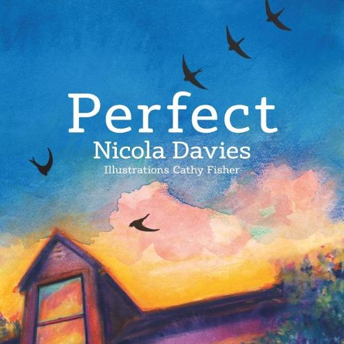 Cover image for Perfect