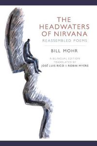 Cover image for The Headwaters of Nirvana: Reassembled Poems