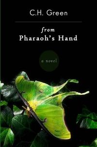 Cover image for From Pharaoh's Hand
