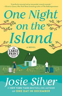 Cover image for One Night on the Island: A Novel