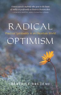 Cover image for Radical Optimism: Practical Spirituality in an Uncertain World