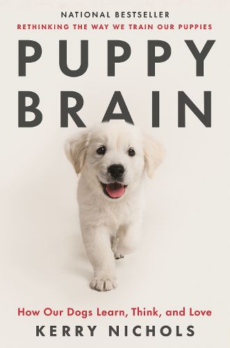 Cover image for Puppy Brain: How Our Dogs Learn, Think, and Love