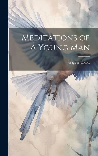 Cover image for Meditations of A Young Man