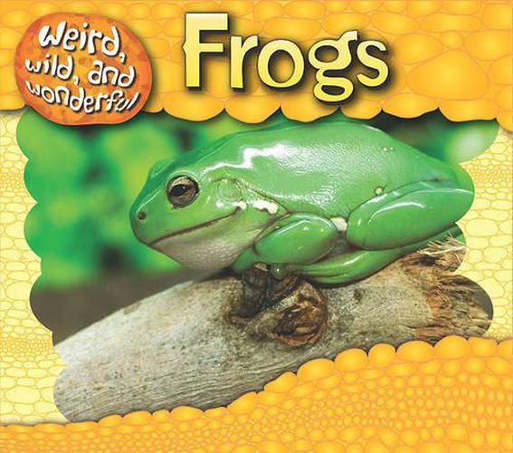 Cover image for Frogs