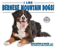 Cover image for I Like Bernese Mountain Dogs!