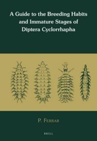 Cover image for A Guide to the Breeding Habits and Immature Stages of Diptera Cyclorrhapha (2 vols)