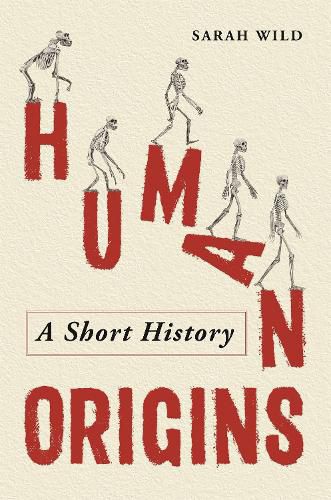 Cover image for Human Origins