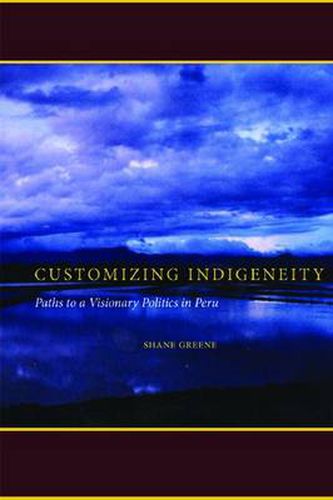 Cover image for Customizing Indigeneity: Paths to a Visionary Politics in Peru