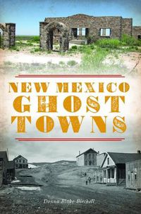 Cover image for New Mexico Ghost Towns