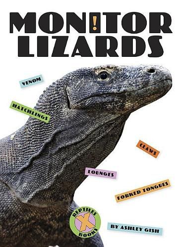 Cover image for Monitor Lizards