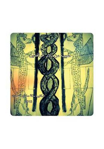 Cover image for A Doctor from Mesopotamia