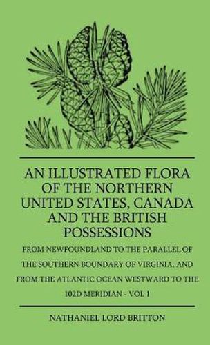 Cover image for An Illustrated Flora Of The Northern United States, Canada And The British Possessions - From Newfoundland To The Parallel Of The Southern Boundary Of Virginla, And From The Atlantic Ocean Westward To The 102D Meridian - Vol 1