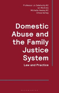 Cover image for Domestic Abuse and the Family Justice System