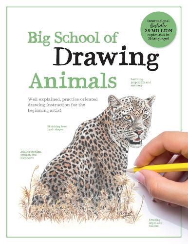 Cover image for Big School of Drawing Animals