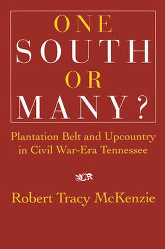 Cover image for One South or Many?: Plantation Belt and Upcountry in Civil War-Era Tennessee