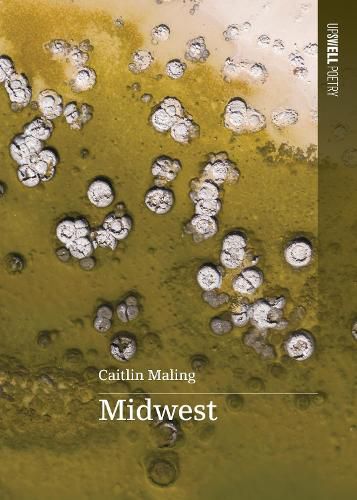 Cover image for Midwest