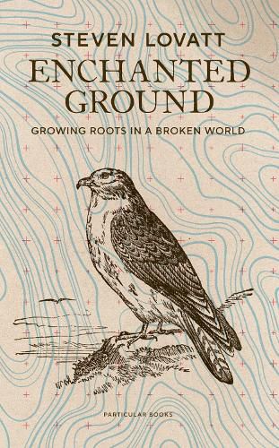 Cover image for Enchanted Ground