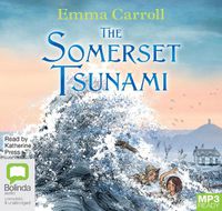 Cover image for The Somerset Tsunami