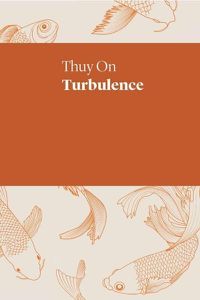 Cover image for Turbulence
