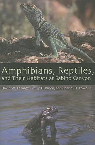 Amphibians, Reptiles, and Their Habitats at Sabino Canyon