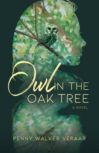 Cover image for Owl in the Oak Tree