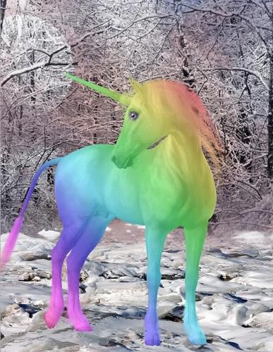 Cover image for Unicorn Notebook: 100 Pages 8.5 X 11 Wide Ruled Line Paper