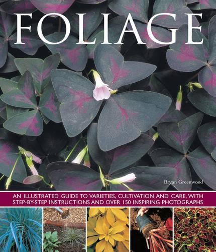 Cover image for Foliage