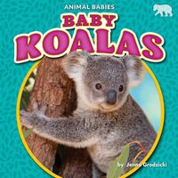 Cover image for Baby Koalas