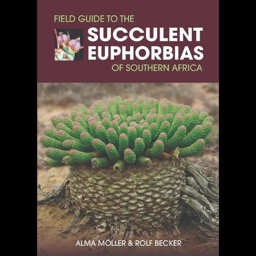 Cover image for Field Guide to the Succulent Euphorbias of southern Africa