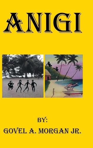 Cover image for Anigi