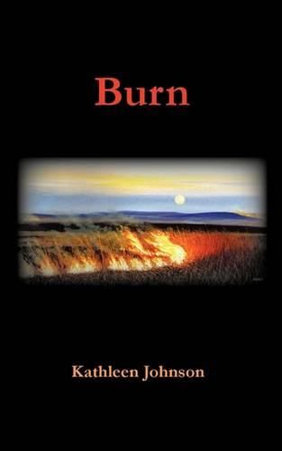 Cover image for Burn