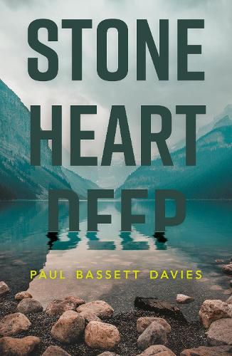 Cover image for Stone Heart Deep