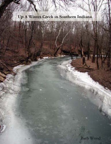 Cover image for Up a Winter Creek in Southern Indiana