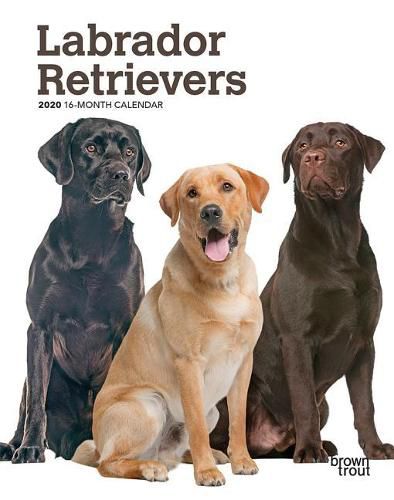 Labrador Retrievers 2020 Diary