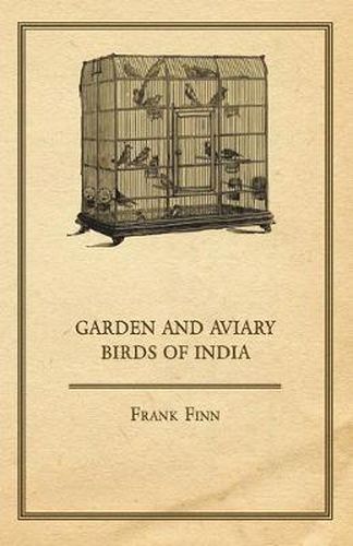 Garden And Aviary Birds Of India