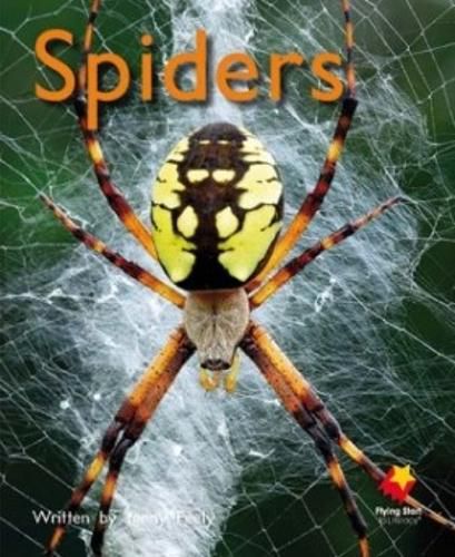 Cover image for Spiders