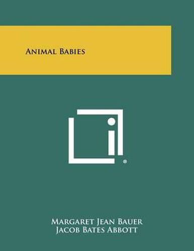Cover image for Animal Babies